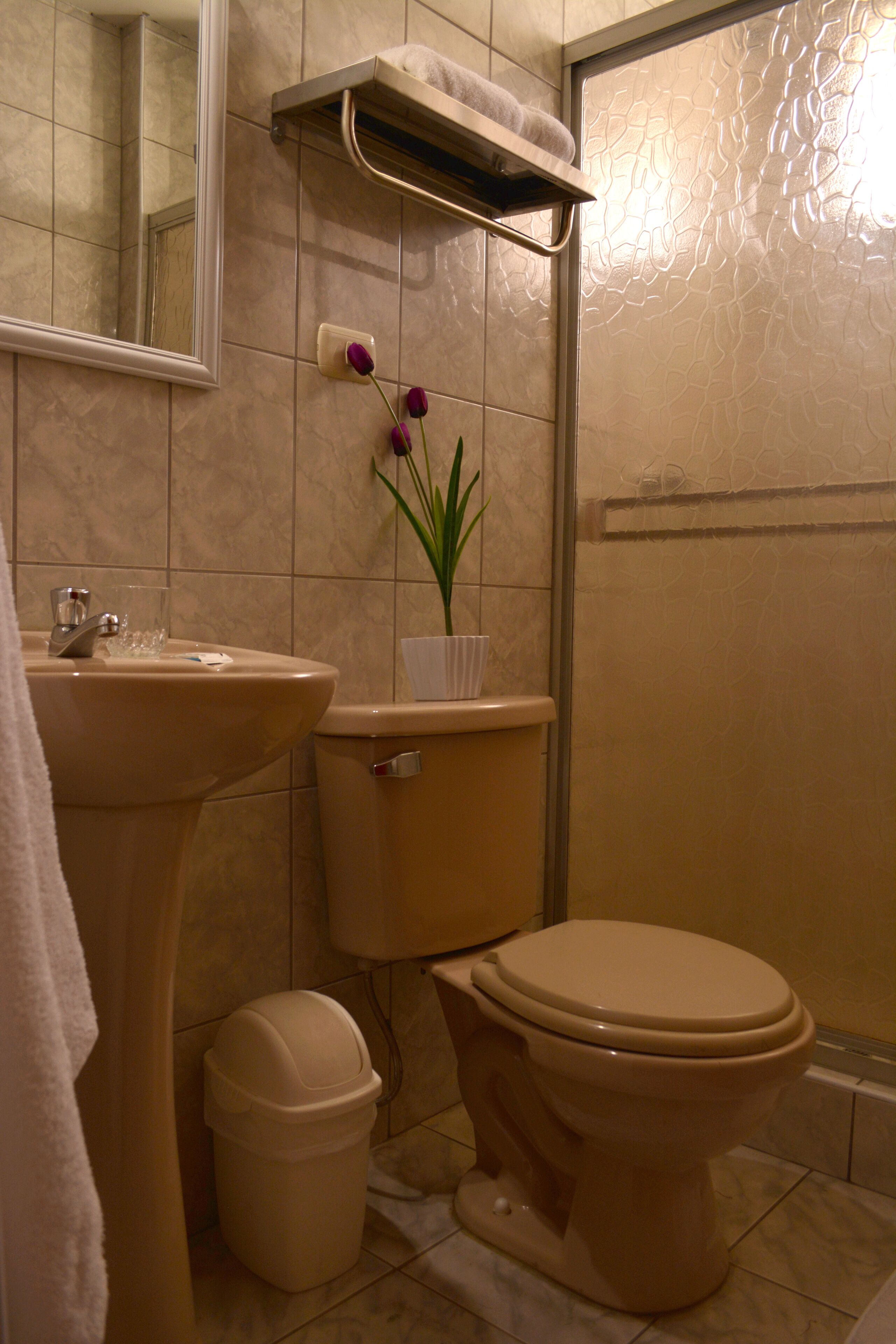 rainfall showerhead, free toiletries, towels