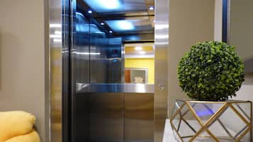 Un ascensor con pantalla digital, interior metálico y una pequeña planta sobre un pedestal decorativo.