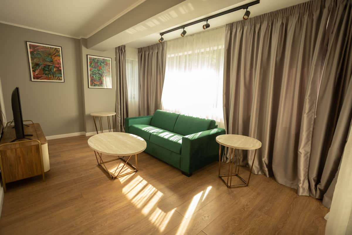 Deluxe Apartment | Living area
