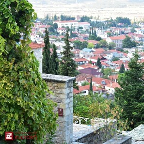 Une vue d’une ville avec des bâtiments aux toits rouges et de la verdure.