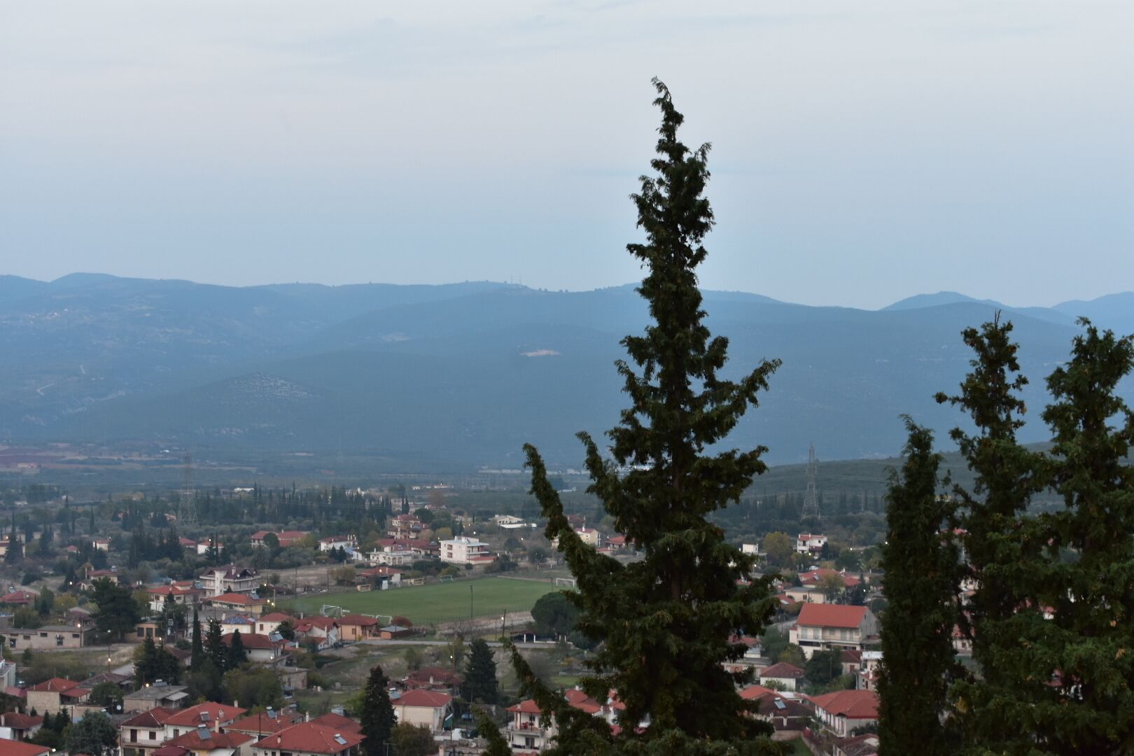 A town with red-roofed buildings, a prominent tall evergreen tree, and distant mountains.