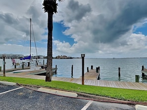Stroll along the marina's wooden dock, surrounded by calm waters and a picturesque palm tree.