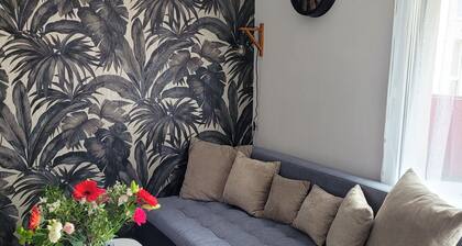 Apartment with large balcony
