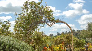 A garden pathway with a heart-shaped archway, surrounded by various flowering plants and trees. - Beverly's Retreat (Fallbrook)