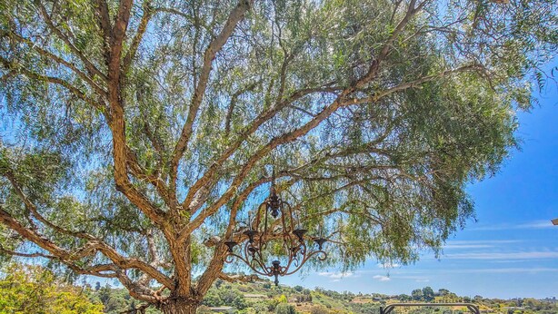 An outdoor dining area with wicker furniture, a table set with fruits, and a view of a hilly landscape. - Beverly's Retreat (Fallbrook)