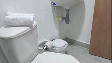 Habitación estándar | Baño | Regadera y regadera tipo lluvia