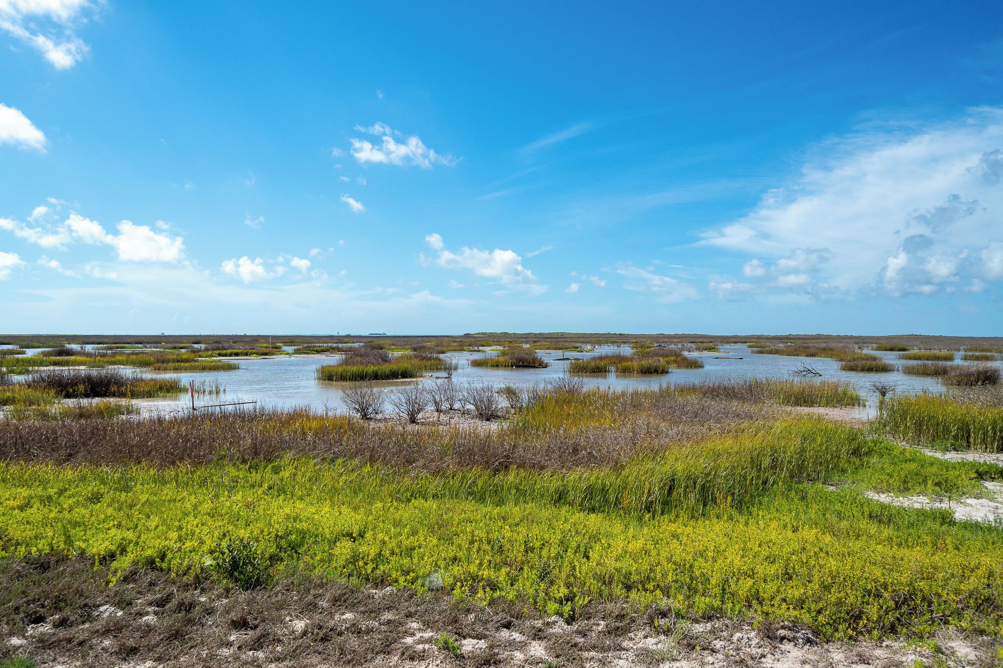 Un paysage côtier avec des zones marécageuses et un ciel bleu dégagé.