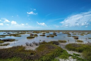 Maison (4 Bedrooms) | Équipement de l’hébergement