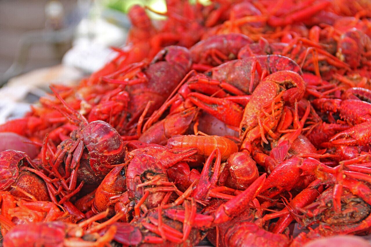A pile of cooked crayfish.