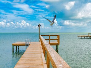 Ferienhaus (2 Bedrooms) | Ausstattung der Unterkunft