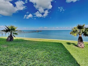 A grassy area with two palm trees and a pier extending into a calm body of water under a clear sky.