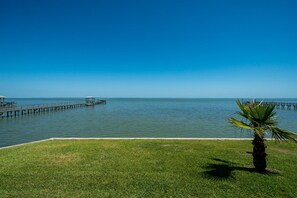 A grassy area with a palm tree and a pier extending into the water. - Bella Costa by Miss Kitty’s (Rockport)