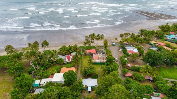 Vista aérea de uma área costeira com casas, palmeiras e uma praia.