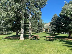Courtyard view - Beavercreek Resort Access to Vail & Golf (Avon)