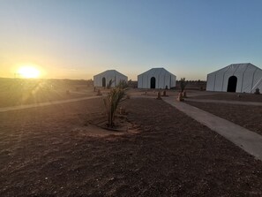 Property grounds - The White Camp Merzouga & Erg Chebbi (Merzouga)