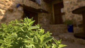 Un bâtiment en pierre doté d’une fenêtre et d’une porte.