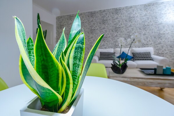 การตกแต่งภายใน