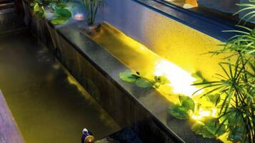 A water feature with plants and lighting.