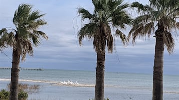 Condo, 1 King Bed with Sofa bed, Patio (LR #108 - Starfish - No Pets Allowed) | Beach | Beach nearby