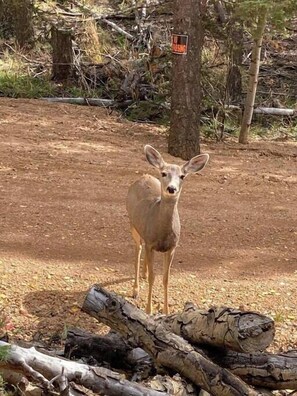 Photo non classée, 2 sur 41, bouton