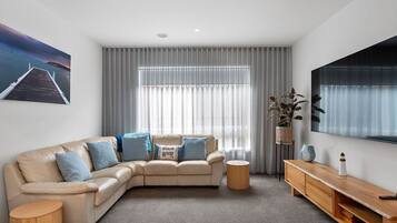 Una Smart TV, una chimenea, libros, una pantalla de ordenador