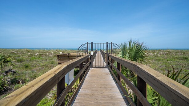 A wooden boardwalk leading to a gate, surrounded by grassy terrain and palm plants. - St Augustine Beach Condo just steps from the beach! (St. Augustine)