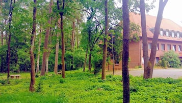 Ngoại thất
