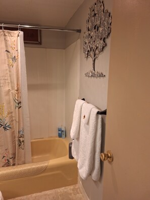 Combined shower/tub, hair dryer, towels, soap - The Red House (Colchester)