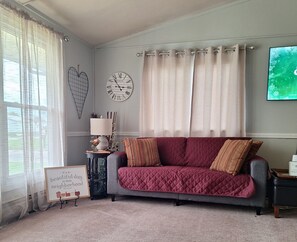 Smart TV, fireplace