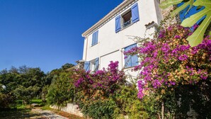A two-story building with blue shutters, surrounded by lush greenery and vibrant bougainvillea flowers. - Nice home in St Andrea Di Cotone (St Andrea Di Cotone)