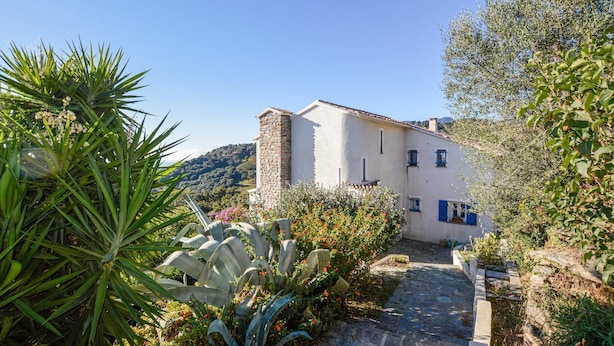 A white building with blue shutters, surrounded by lush greenery and a stone pathway leading to the entrance. - Nice home in St Andrea Di Cotone (St Andrea Di Cotone)