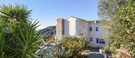 المنطقة المحيطة بالمنشأة