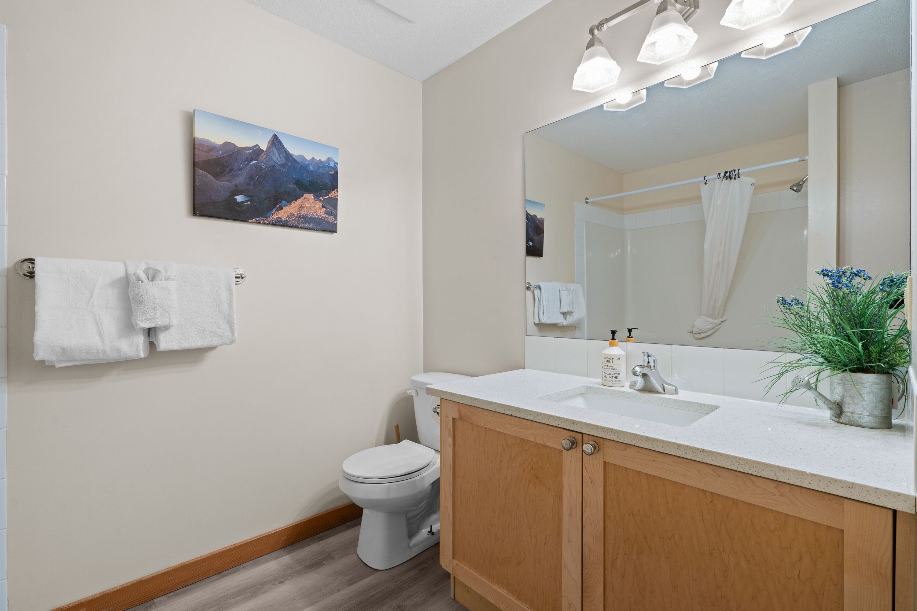 A bathroom with a toilet, sink, mirror, and a mountain painting on the wall.