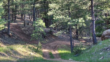 Zona boscosa con un sendero de tierra que la atraviesa.