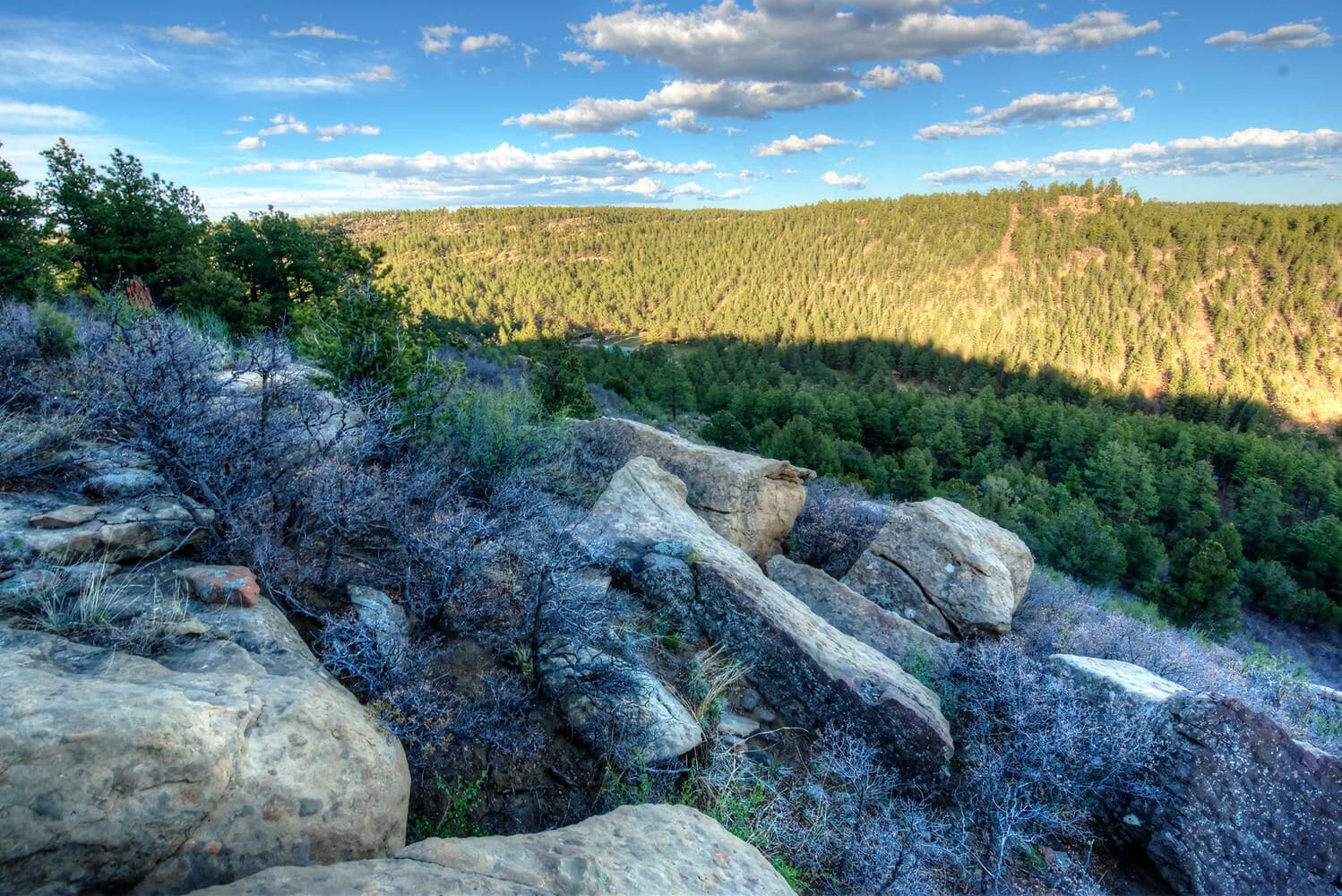 A rocky landscape with large boulders and dense forest in the background.