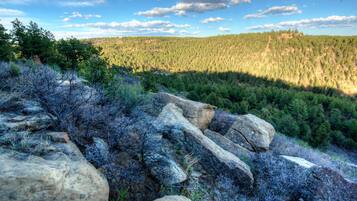 A rocky landscape with large boulders and dense forest in the background.
