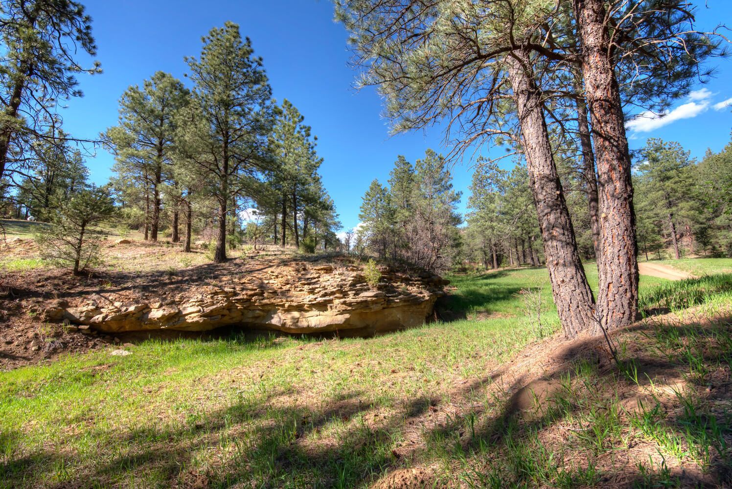 A natural landscape with a rocky outcrop, trees, and a clear sky.