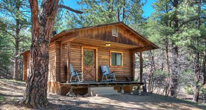 Rejuvenating bald eagle cabin with Shower Jacuzzi