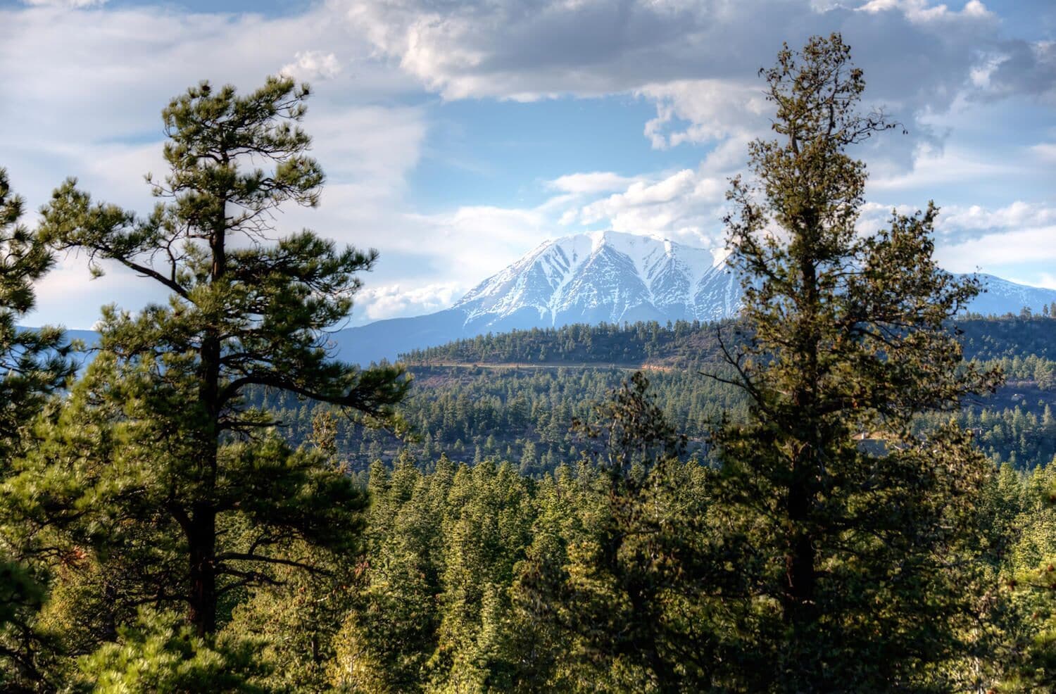 A mountainous landscape with snow-capped peaks, dense forest, and a clear sky.