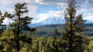 A mountainous landscape with snow-capped peaks, dense forest, and a clear sky.