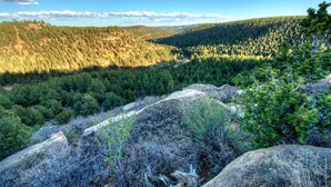 Un paisaje montañoso con bosques densos y terreno rocoso.