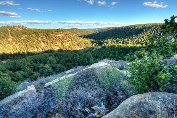 A mountainous landscape with dense forests and rocky terrain.