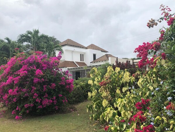 A white house with a brown roof, surrounded by lush greenery and vibrant pink flowers.