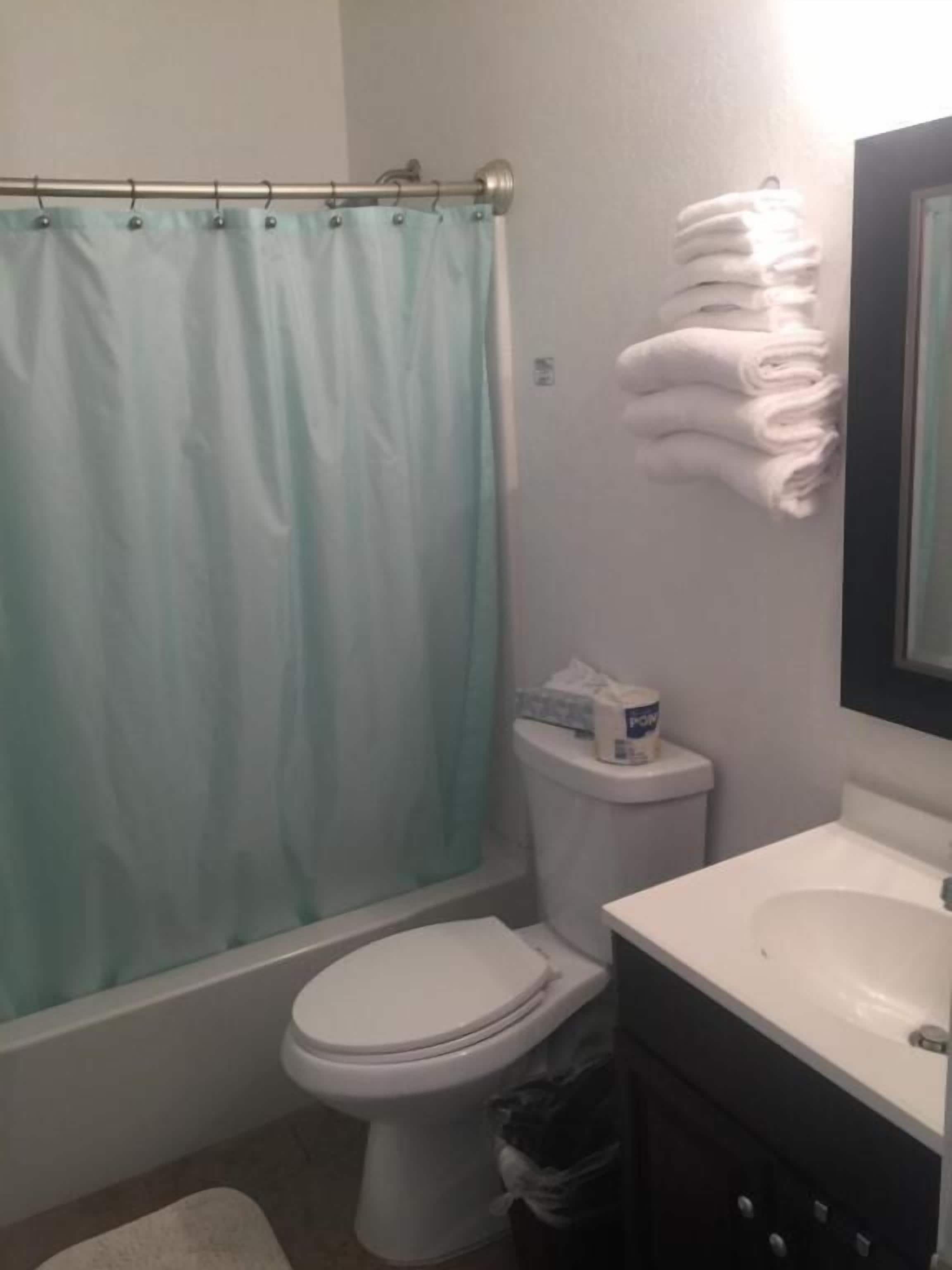 A bathroom with a toilet, a sink, a mirror, a towel rack, and a shower curtain.