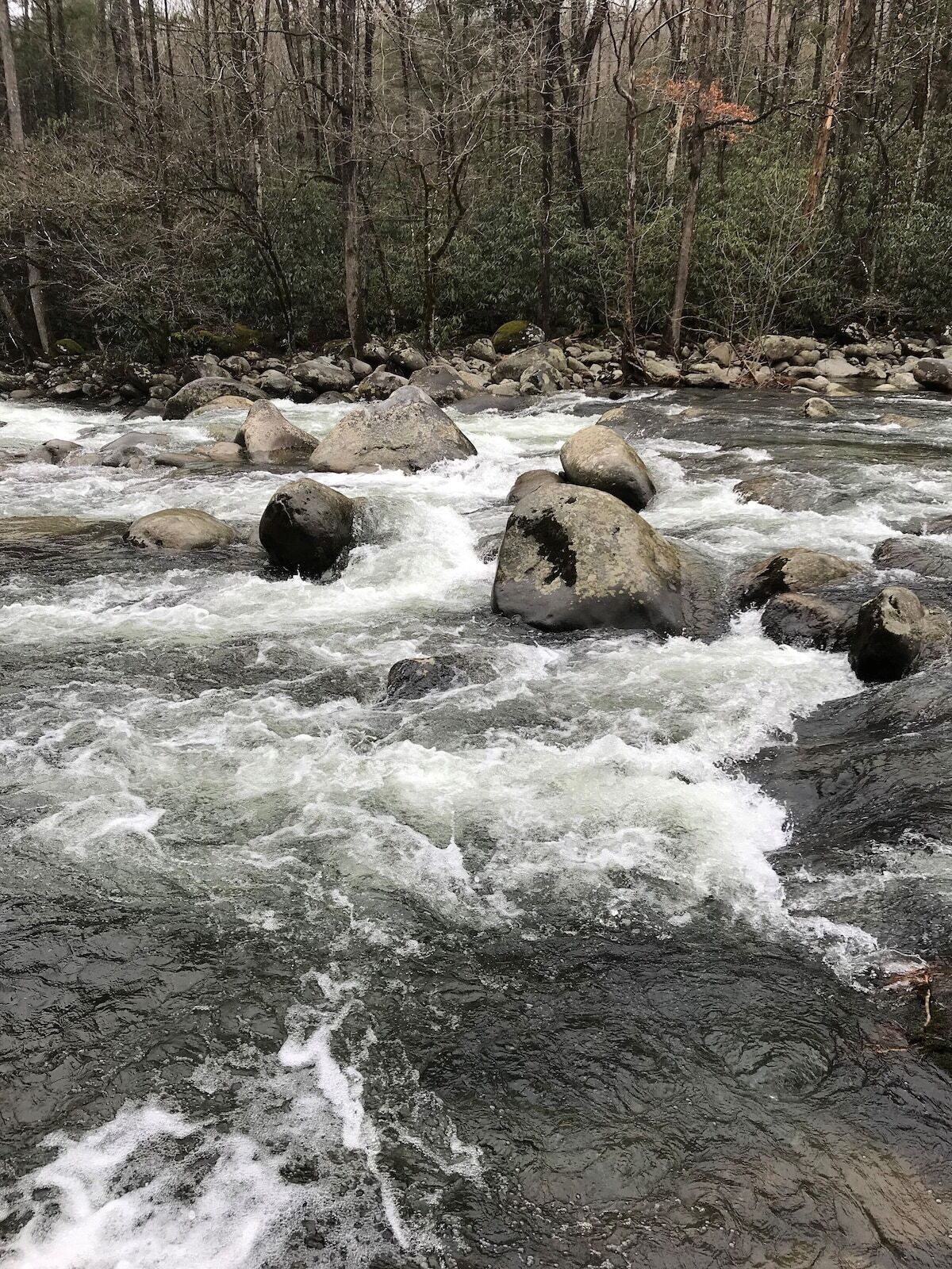 Une rivière aux eaux claires qui coule sur des rochers.