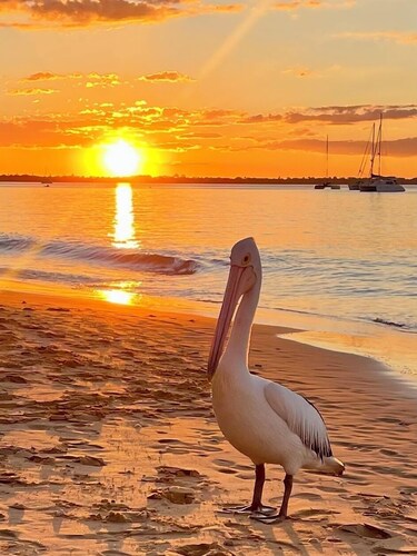 BEACHFRONT On The Esplanade - Bay Views - SPACIOUS GROUND FLOOR 
