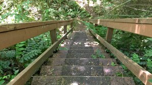 A wooden staircase surrounded by greenery. - 80mbr - Hot Tub - Wifi - BBQ - Wood Stove - Sleeps 7! (Deming)