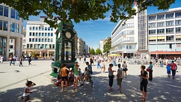 2 slaapkamers, hypoallergeen beddengoed, een bureau, een laptopwerkplek