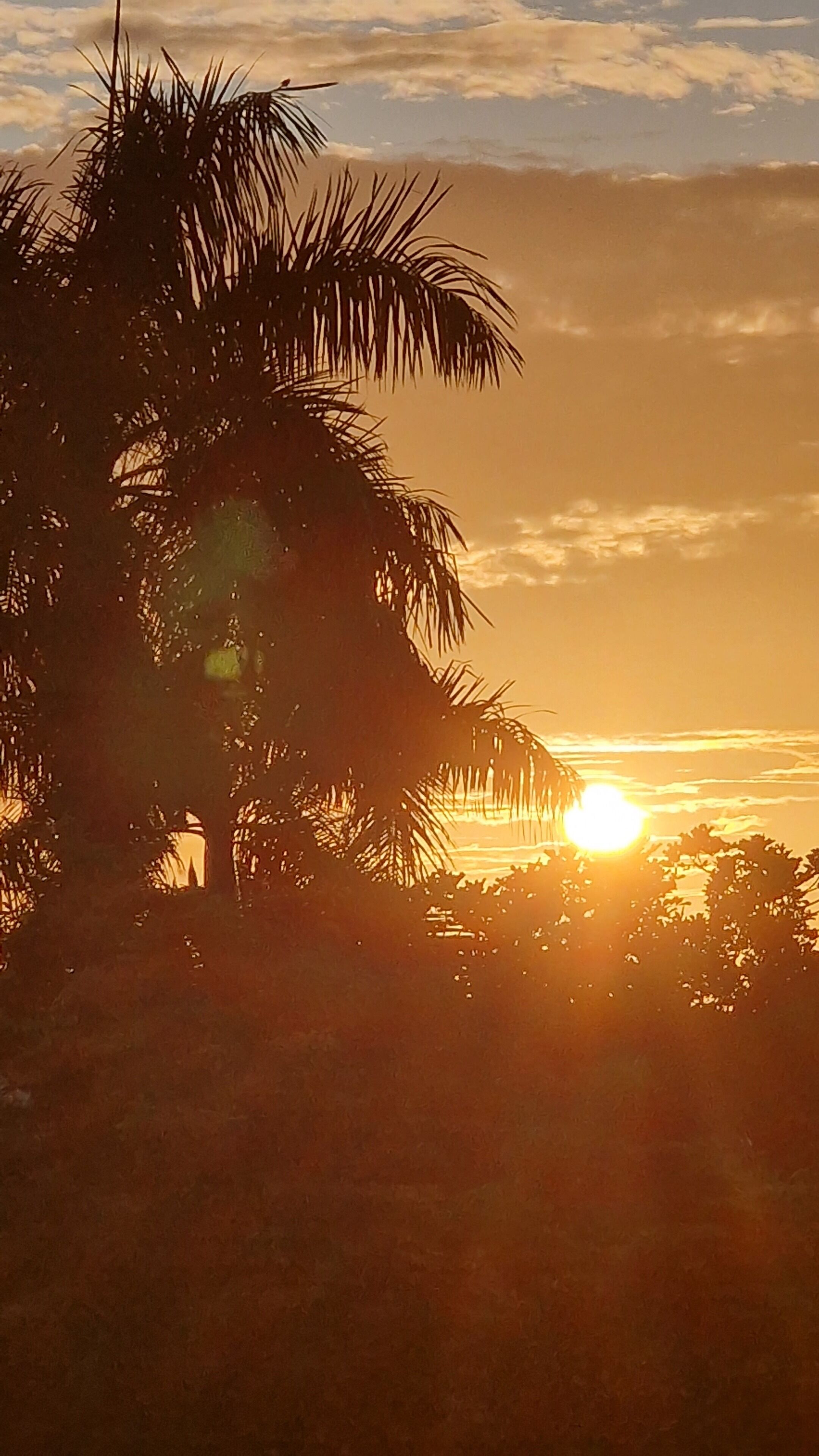 Foto - Greenheart Boutique Hotel