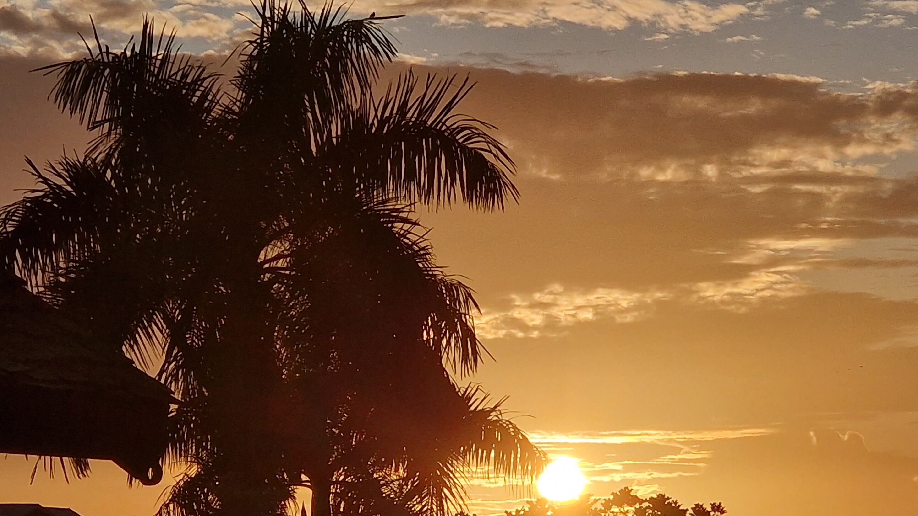 Foto - Greenheart Boutique Hotel